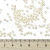 MIYUKI Round Rocailles Beads SEED-JP0009-RR0491-4