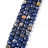 Natural Sodalite Beads Strands G-C038-02E-1