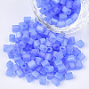 6/0 Transparent Glass Seed Beads SEED-S027-03B-06-1