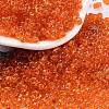Glass Seed Beads SEED-A033-03A-01-1