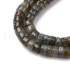 Natural Labradorite Beads Strands G-Z006-C52-4