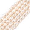 Natural Cultured Freshwater Pearl Beads Strands PEAR-I007-01C-05A-2