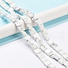 Natural Howlite Beads Strands G-K337-05-2