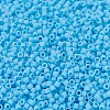 MIYUKI Delica Beads SEED-J020-DB0755-3