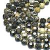 Natural African Turquoise(Jasper) Beads Strands G-C116-A133-01-3