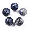 Natural Blue Spot Jaspere Display Decorations G-Q361-010-1