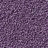 MIYUKI Delica Beads SEED-X0054-DB1173-3