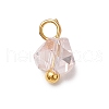 Electroplate Glass Charms PALLOY-JF04004-5