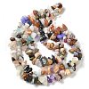 Natural & Synthetic Gemstone Chip Bead Strands G-M205-21-6