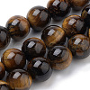 Natural Tiger Eye Beads Strands G-S259-21-8mm-1