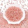 6/0 Baking Paint Transparent Glass Seed Beads X1-SEED-N006-06E-2
