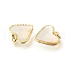 Natural White Shell & Epoxy Resin Charms KK-E794-02G-04-2