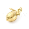 304 Stainless Steel Pendants STAS-U049-01A-08G-2