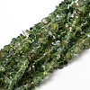 Natural Apatite Chip Beads Strands G-E241-83-1