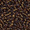 8/0 Glass Seed Beads SEED-A005-3mm-53-2
