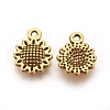 Tibetan Style Alloy Charms GLF10257Y-NF-2