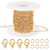 Beebeecraft DIY Chain Bracelet Necklace Making Kit DIY-BBC0001-17-1