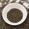 MIYUKI Delica Beads X-SEED-J020-DB0022-2