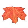 50Pcs Maple Leaf Theme Paper Stickers STIC-P017-C01-5