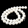 Shell Pearl Beads Strands BSHE-K015-10mm-03-4