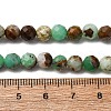 Natural Serpentine Beads Strands G-RM250101-D8-6mm-3