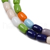 Handmade Lampwork Beads Strands LAMP-S070-09-3