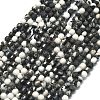 Natural Zebra Jasper Beads Strands G-A260-A52-01-2