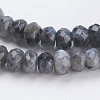 Natural Larvikite Beads Strands G-K255-19-3