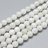 Natural Rainbow Moonstone Beads Strands G-G792-34A-1