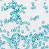 6/0 Round Glass Seed Beads X-SEED-J011-F6-179-3