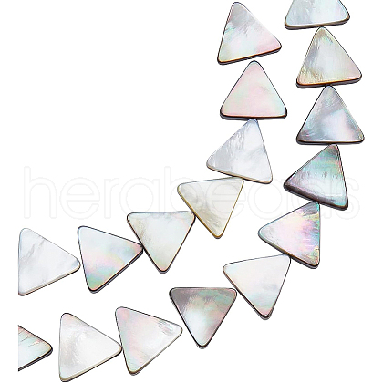 BENECREAT 1 Strand Natural Black Lip Shell Bead Strands SHEL-BC0001-012-1