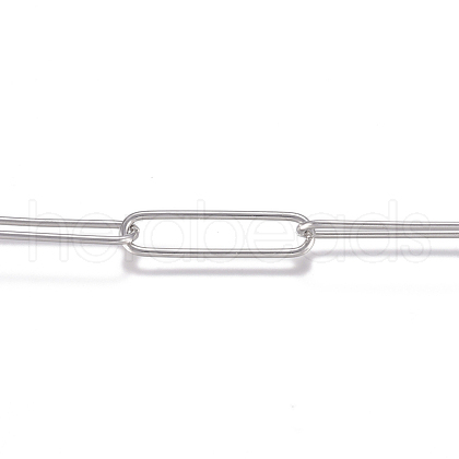 Tarnish Resistant 3.28 Feet 304 Stainless Steel Chains X-CHS-G017-09P-1