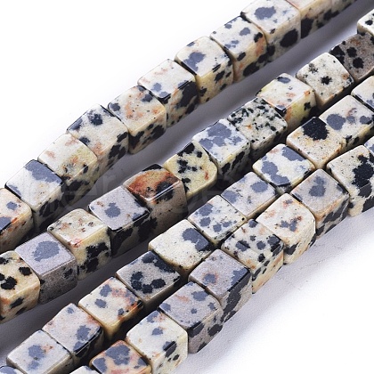 Natural Dalmatian Jasper Beads Strands G-D0020-14-1