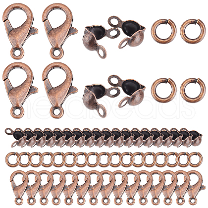 GOMAKERER Zinc Alloy Lobster Claw Clasps & Brass End Bead Tips & Jump Rings Findings Kits DIY-GO0002-21RC-1