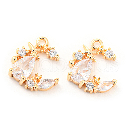 Brass Micro Pave Cubic Zirconia Charm KK-E090-29G-1