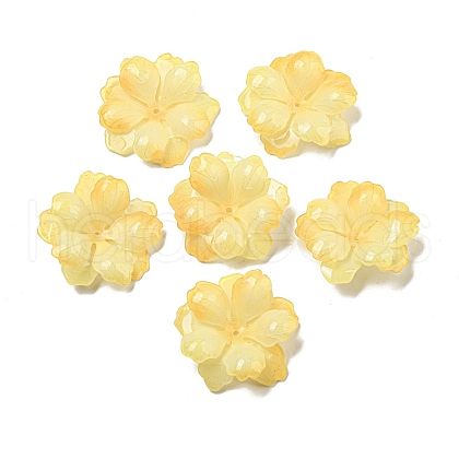 Acrylic Pendants MACR-M046-02-1