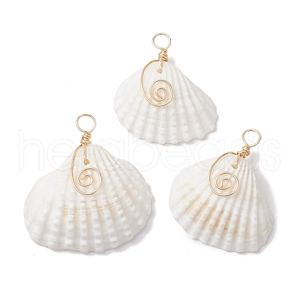 Natural Ark Shell Copper Wire Wrapped Pendants PALLOY-JF02678-01-1