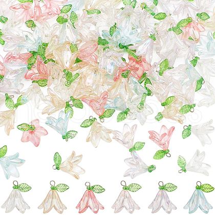 SUNNYCLUE Transparent Acrylic Pendants FIND-SC0009-19-1