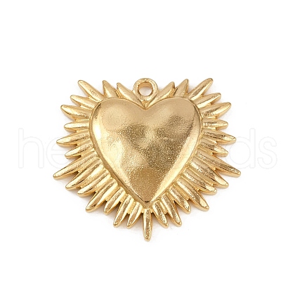 304 Stainless Steel Pendants STAS-P390-02A-G-1