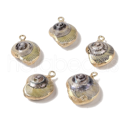 Natural Conch Pendant BSHE-H018-11G-1
