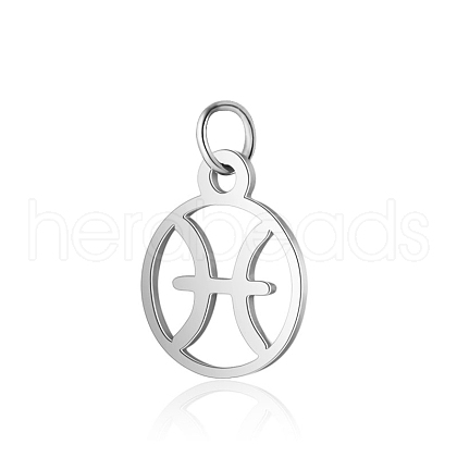 Non-Tarnish 304 Stainless Steel Charms STAS-T036-T513-A12-1