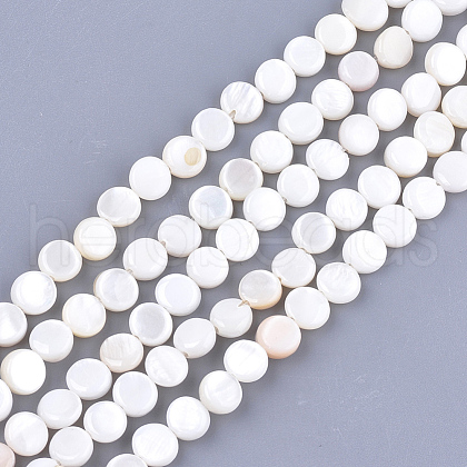 Freshwater Shell Beads Strands SHEL-S276-15B-1