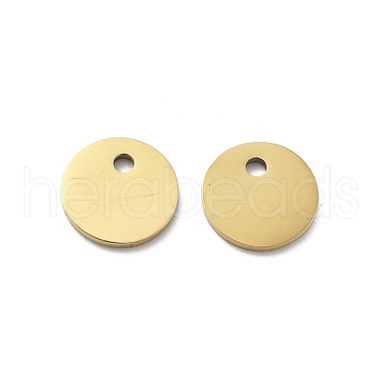 304 Stainless Steel Charms STAS-M111-15G-01-1
