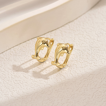 Simple Geometric Brass Hoop Earrings CV3408-4-1