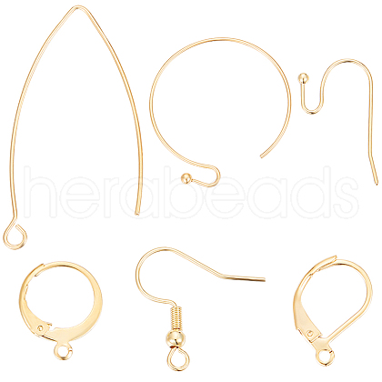 Beebeecraft 60Pcs 6 Style 304 Stainless Steel & Brass Earring Findings DIY-BBC0001-79-1