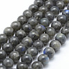 Natural Labradorite Beads Strands G-P326-01-6mm-1