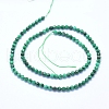 Natural Malachite Beads Strands G-I279-E15-03-2