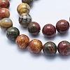 Natural Polychrome Jasper/Picasso Stone/Picasso Jasper Beads Strands G-E444-43-10mm-2