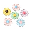 Transparent Resin Pendants CRES-R457-01A-1