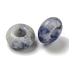 Natural Blue Spot Jasper Beads G-Q173-03A-14-2